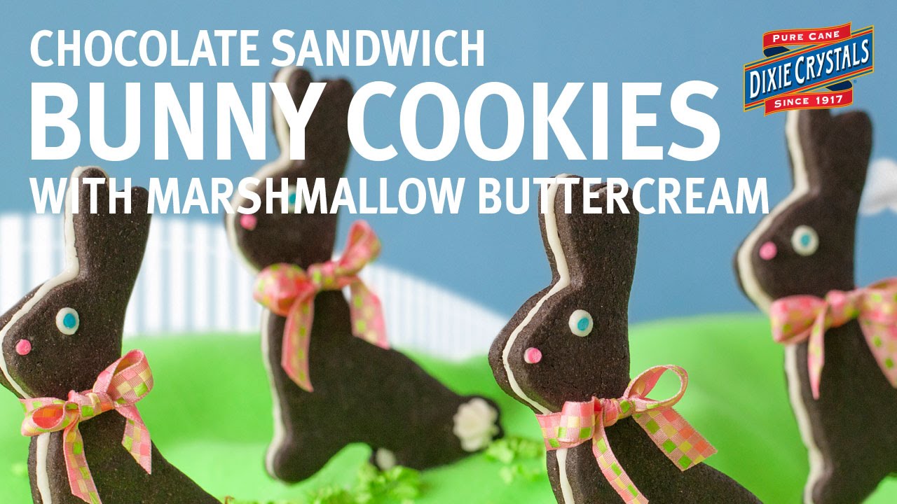How to Make & Decorate Chocolate Bunny Sandwich Cookies with Bridget Edwards (Instance 1) — Instance — Interactive video experience